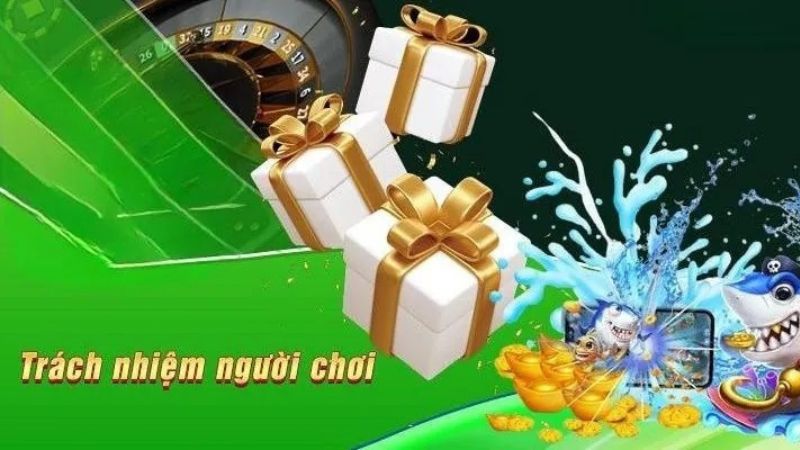 Khái niệm tổng quát về trách nhiệm người chơi